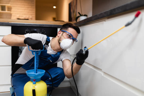 Best Bed Bug Extermination  in Isle Of Palms, SC