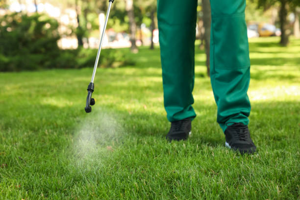 Trusted Isle Of Palms, SC Pest Control Experts