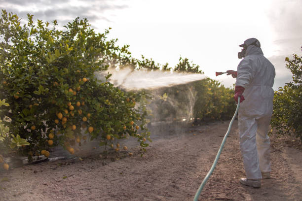 Best Commercial Pest Control Services  in Isle Of Palms, SC