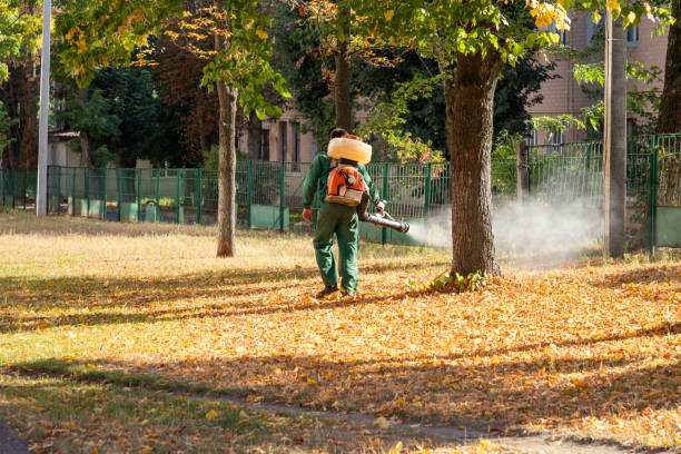 Best Residential Pest Control  in Isle Of Palms, SC