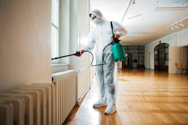 Best Termite Control Services  in Isle Of Palms, SC