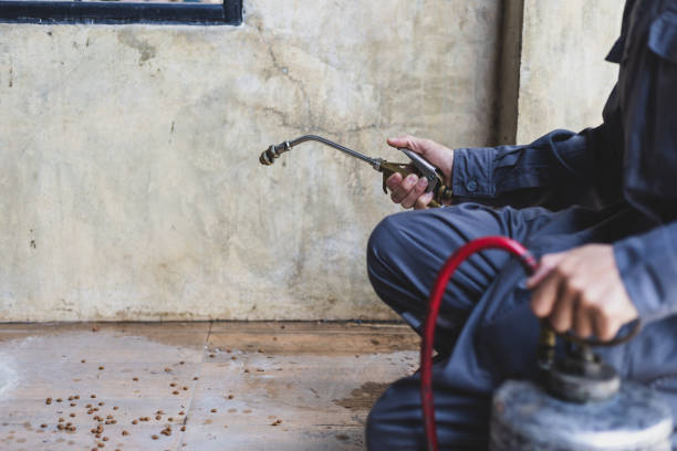 Best Best Pest Control Companies  in Isle Of Palms, SC